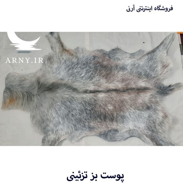 پوست بز بزرگ جذاب بینظیر کد B2 - Image 6