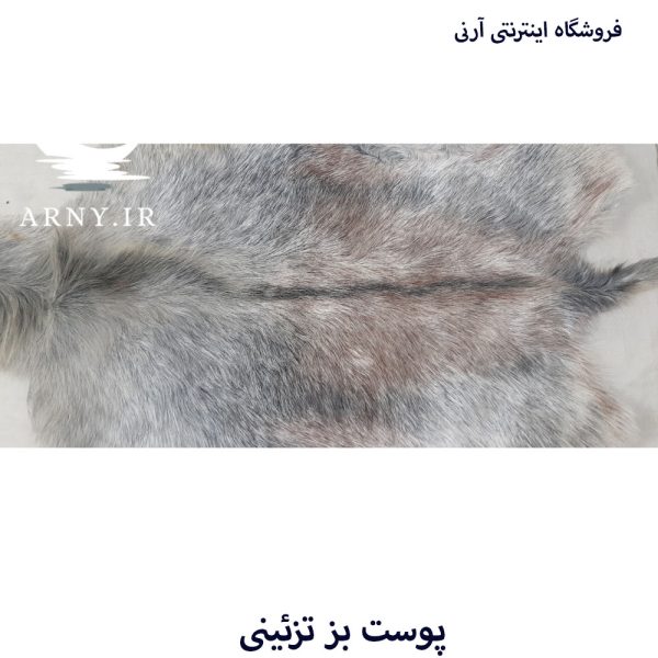 پوست بز بزرگ جذاب بینظیر کد B2 - Image 7