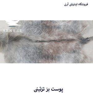 پوست بز