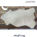 پوست گوسفند