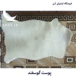 پوست گوسفند سفید کدN9 - Image 2