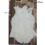 پوست گوسفند سفید کدN10 - Image 2