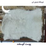 پوست گوسفند