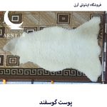 پوست گوسفند سفید کدN13 - Image 2
