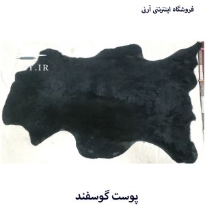 پوست گوسفند