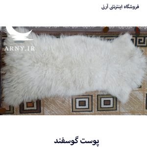پوست گوسفند