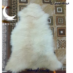 پوست گوسفند