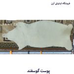 پوست گوسفند سفید کدN3