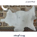 پوست گوسفند