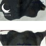 پوست گوسفند مشکی کدN11 - Image 3