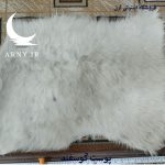 پوست گوسفند سفید کدN12 - Image 3