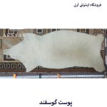 پوست گوسفند سفید کدN3 - Image 3
