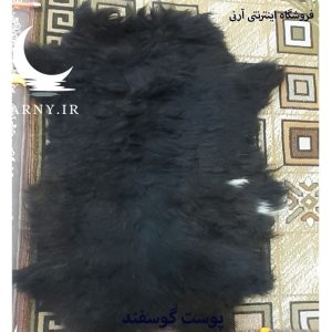 پوست گوسفند