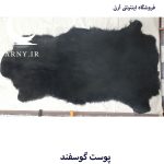 پوست گوسفند مشکی کدN5 - Image 3