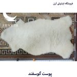 پوست گوسفند سفید کدN7 - Image 3
