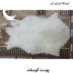 پوست گوسفند سفید کدN10 - Image 4