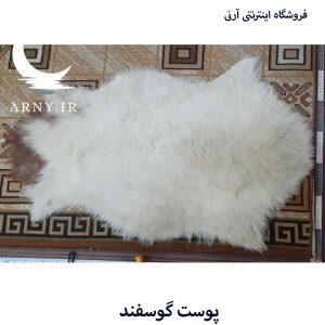 پوست گوسفند سفید کدN10 1 پوست گوسفند