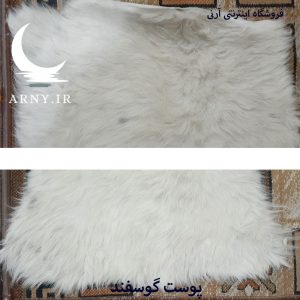 پوست گوسفند سفید کدN12 1 پوست گوسفند