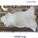 پوست گوسفند کد N1 - Image 4