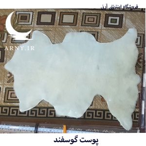 پوست گوسفند
