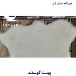 پوست گوسفند سفید کدN4 - Image 4