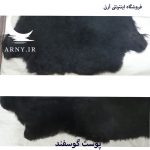 پوست گوسفند مشکی کدN5 - Image 4