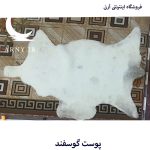 پوست گوسفند سفید کدN6 - Image 4