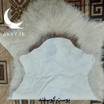 پوست گوسفند سفید کدN10 - Image 5