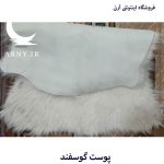 پوست گوسفند سفید کدN12 - Image 4