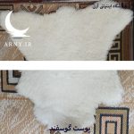 پوست گوسفند سفید کدN13 - Image 5