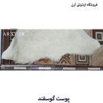 پوست گوسفند کد N1 - Image 5
