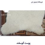 پوست گوسفند سفید کدN3 - Image 5
