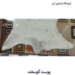 پوست گوسفند سفید کدN6 - Image 5