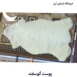 پوست گوسفند سفید کدN7 - Image 4