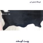 پوست گوسفند مشکی کدN2 - Image 6
