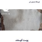 پوست گوسفند سفید کدN9 - Image 6