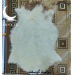 پوست گوسفند سفید کدN10 - Image 6