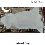 پوست گوسفند