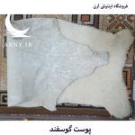 پوست گوسفند سفید کدN3 - Image 6