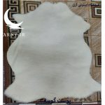 پوست گوسفند سفید کدN4 - Image 8