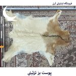 پوست بز