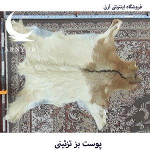 پوست بز