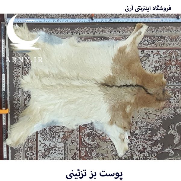 پوست بز