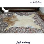 پوست بز شیری جذاب کد B2/2 - Image 2