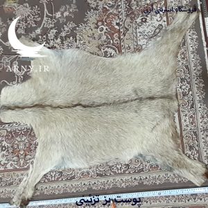 پوست بز
