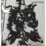 پوست بز