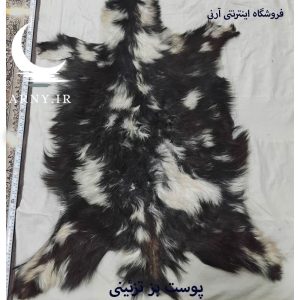 پوست بز