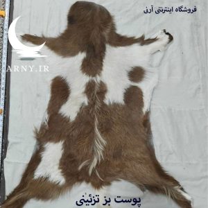 پوست بز