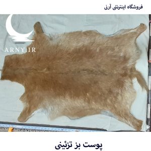پوست بز