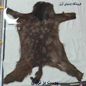 پوست بز